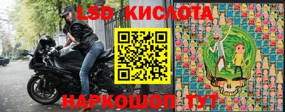 шишки Моздок