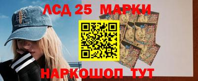 шишки Моздок