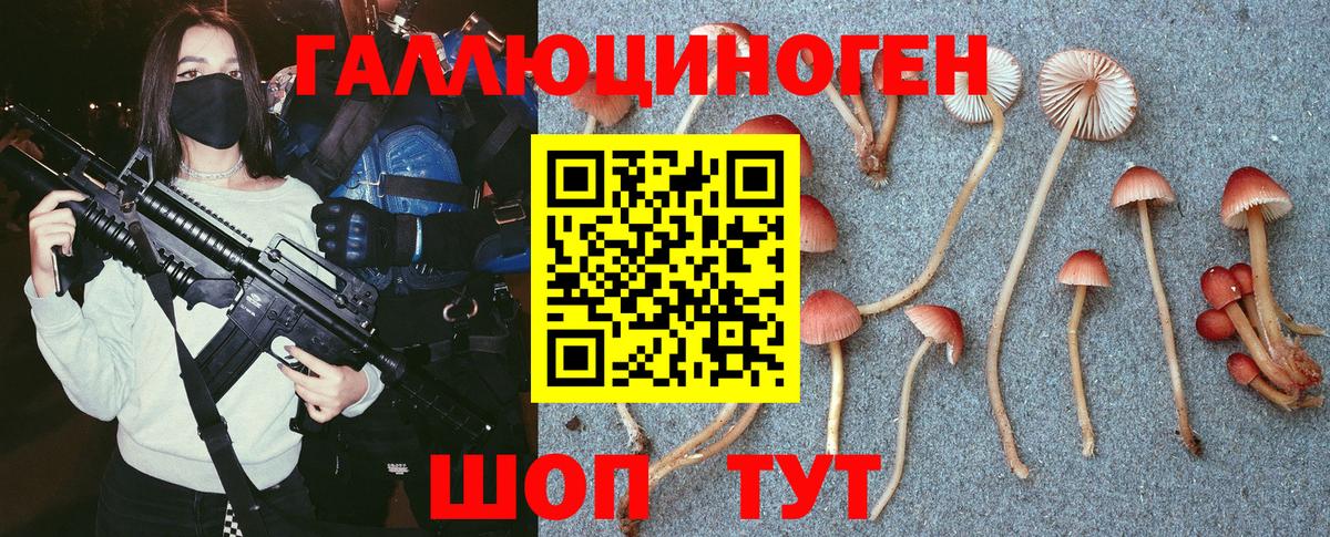 Галлюциногенные грибы Cubensis  Вход с VPN  Нягань 
